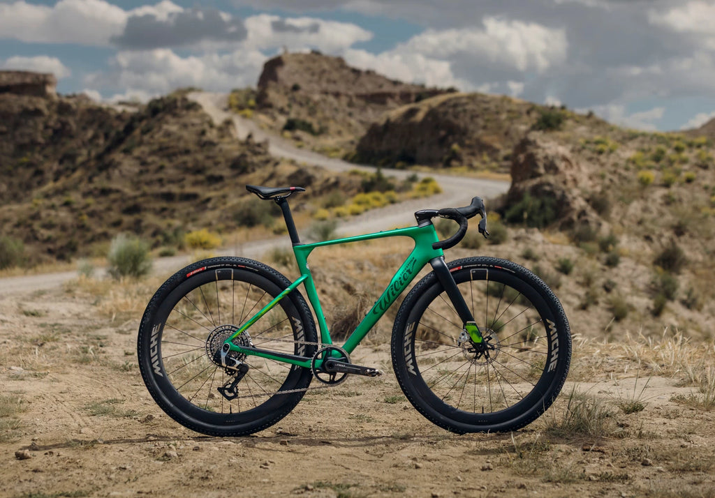 Wilier Rave SLR ID2 (Due 11/25)