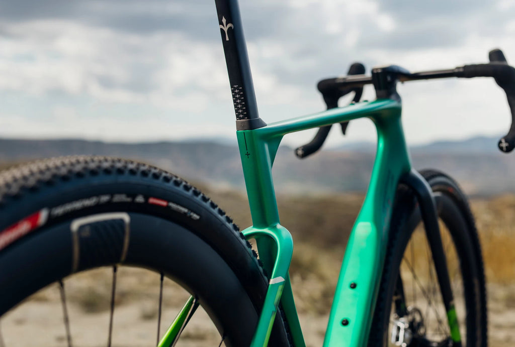 Wilier Rave SLR ID2 (Due 11/25)