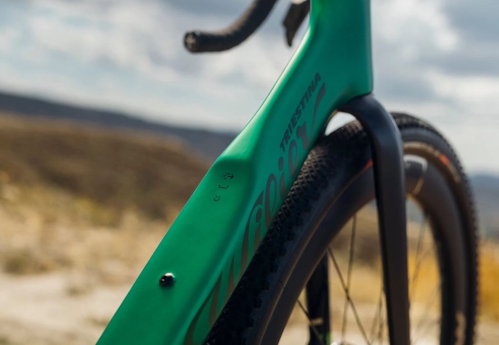 Wilier Rave SLR ID2 (Due 11/25)