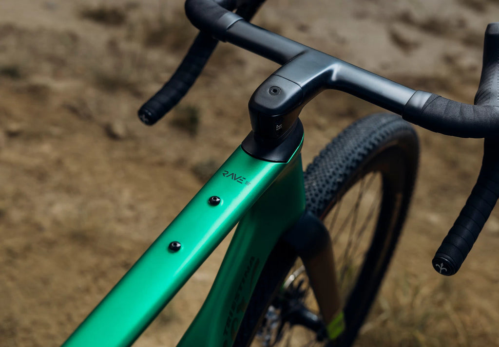 Wilier Rave SLR ID2 (Due 11/25)