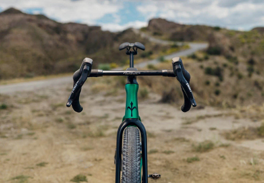 Wilier Rave SLR ID2 (Due 11/25)