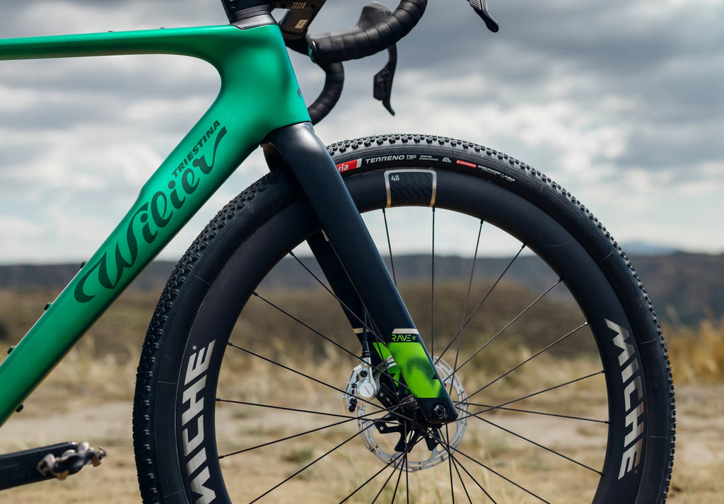 Wilier Rave SLR ID2 (Due 11/25)
