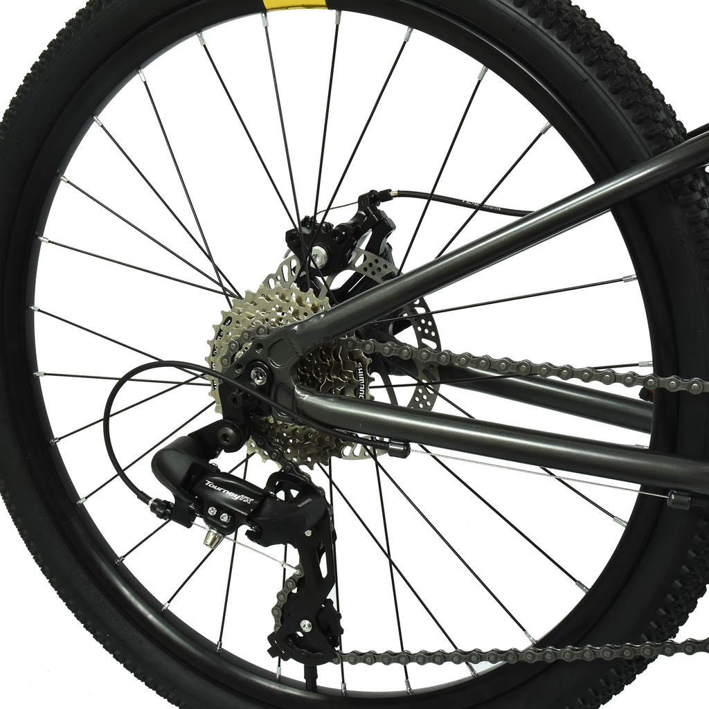 HOY Pentland 24" ( PRE - ORDER SEPTEMBER DELIVERY )