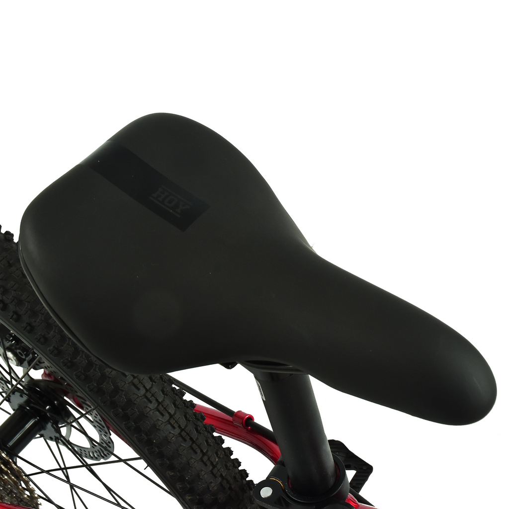 HOY Pentland 24" ( PRE - ORDER SEPTEMBER DELIVERY )